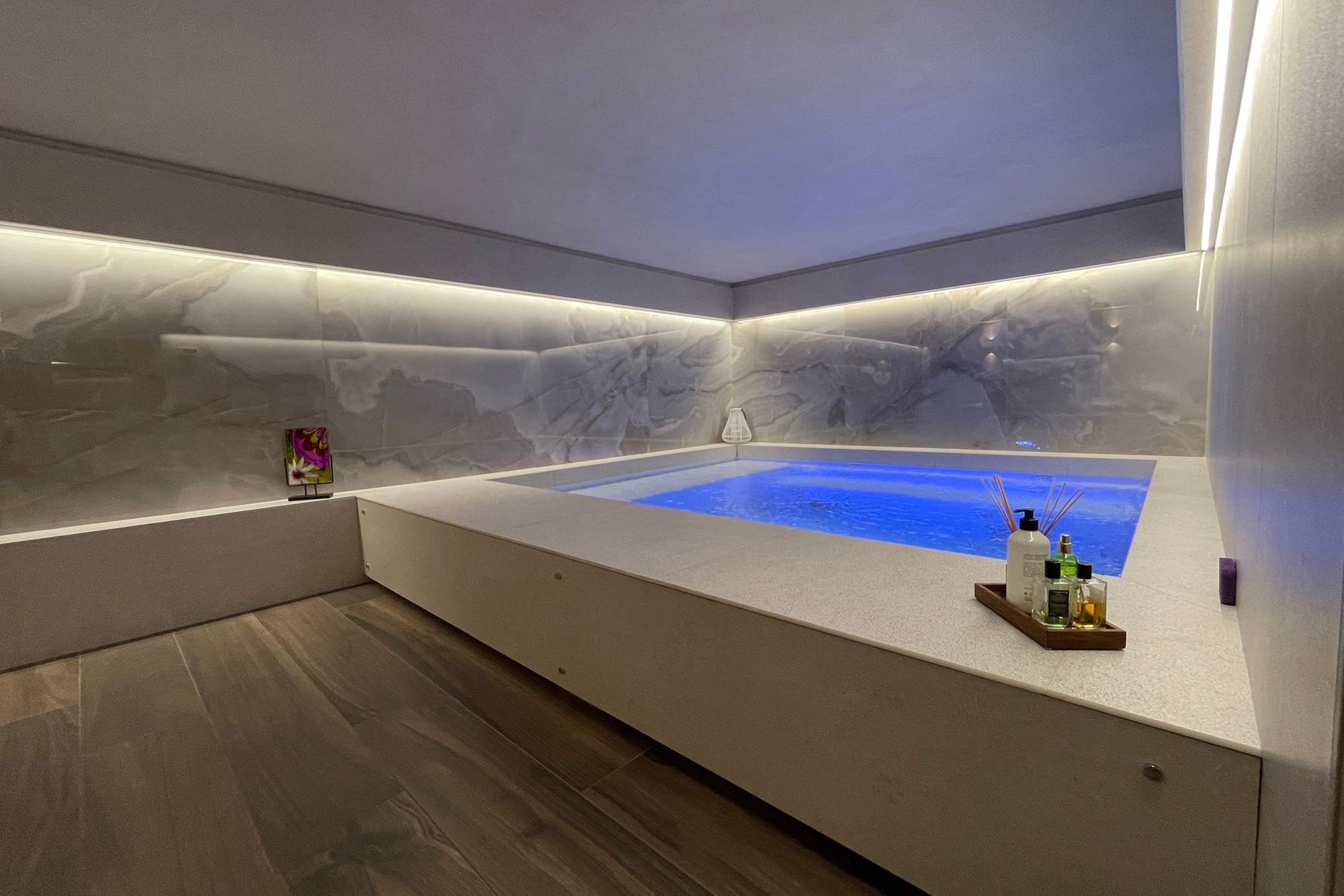 Création d'un SPA sur-mesure à Lyon