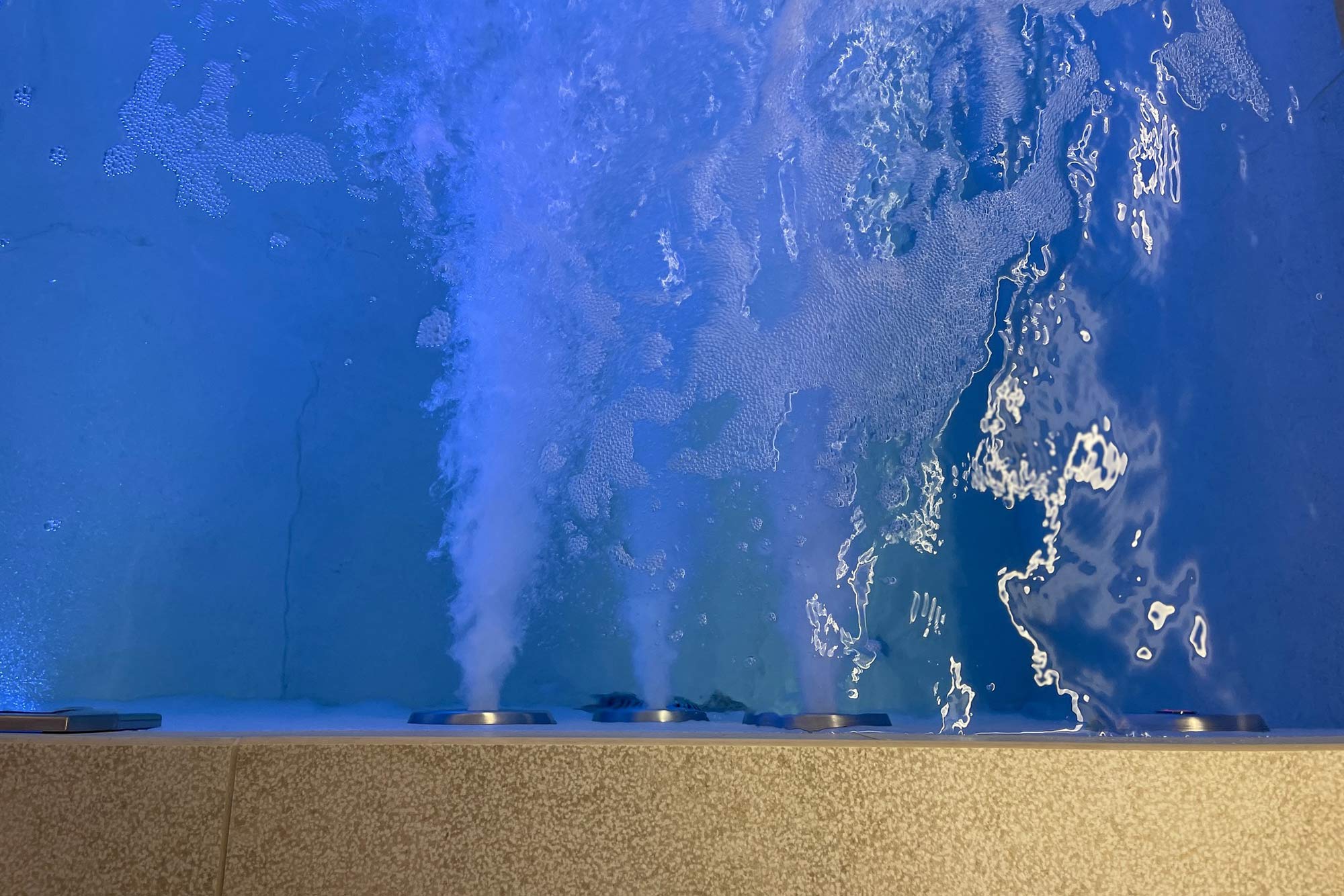 Création d'un SPA sur-mesure à Lyon